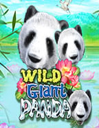 บาคาร่าใหม่ล่าสุด: เปิดประสบการณ์การทดลองเล่นสุดพิเศษ